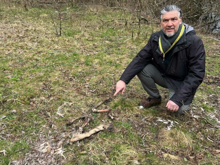 Coldiretti Como Scopre Cimitero Di Ossa Sul Lago Di Piano Valtellina News